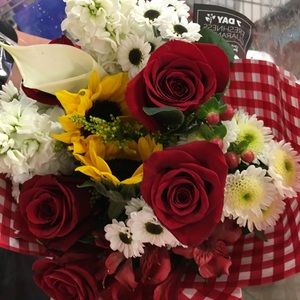 Meet your Posher, Lynzee